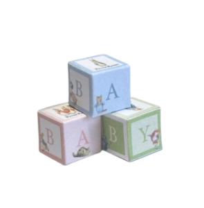 Annemieke Design Peter Rabbit Blokken Poppenhuisminiatuur