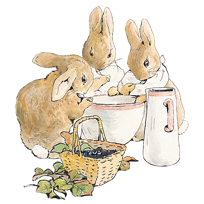 Peter Rabbit 3 konijntjes