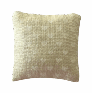 Annemieke Design Kussen 13