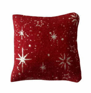 Annemieke Design Kussen 14