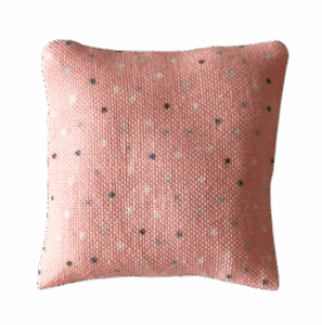 Annemieke Design Kussen 2