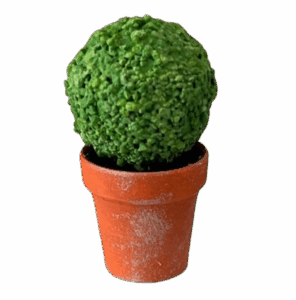 Annemieke Design Buxus in Pot Poppenhuisminiatuur